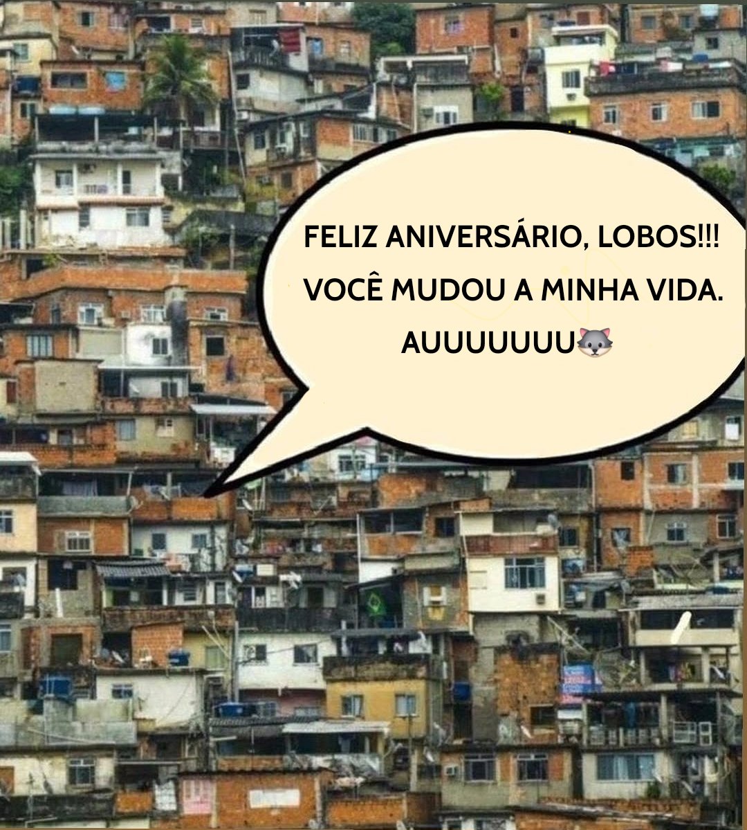 mafeedojao's tweet photo. feliz 8 anos de Lobos, o primogênito!!! 🤍🐺 https://t.co/LUS9dwrae1