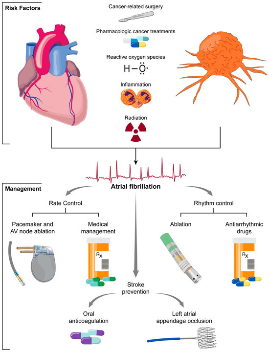 JCM_MDPI's tweet photo. #mdpijcm
Recommended #EditorChoice Paper🙌
#AtrialFibrillation and #Cancer—Epidemiology, Mechanisms, and Management
🔗https://t.co/iYujgQLIAI
✍️@nicktanCV @MayoClinicCV
@MediPharma_MDPI
#Ablation #RhythmControl #interventionalmanagement https://t.co/LnWAahHrt5
