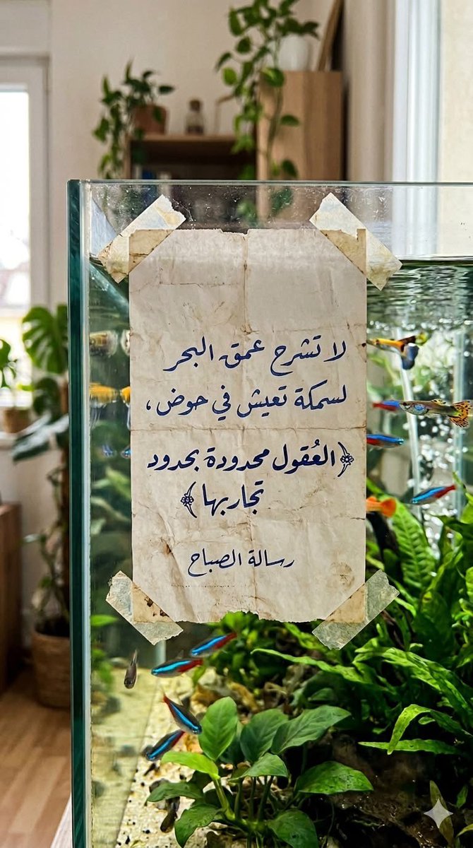 shadnsalem's tweet photo. 🔸#صبــ☀️ـاحيات #منقولة🍃🌺🌴
 🔸أصبحنا وأصبح الملك لله🔸 
أصبحنا بخيرك الدّائم ،ولطفك الخفيّ وبك نظنّ الظّنّ الجميل ،#فتولّنا يا الله يا كريم .
🔸#صبــاح_الـخير 🍃🍀🎋🌼 
سعيد اليهودي 
سلمان
 #صباح_الخير_والسعاده
#صباح_الخير_والسعادة_للجميع 
#صباح_الأشياء_المُشرقة 
#صباح_الخيـر https://t.co/8rk7D6LknQ