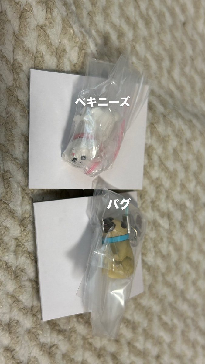 0shimal0ve's tweet photo. おばんちゅうさぎ　と　わんころ　マスコットビスケット

交換希望してます

譲：⑤パグ
　　⑥ペキニーズ

求：①おぱんちゅうさぎ（食べないで）
　　⑩ハッピーレア

#おぱんちゅうさぎ　
#わんころ
#おぱんちゅうさぎとわんころマスコットビスケットつき https://t.co/2cvbf3boit