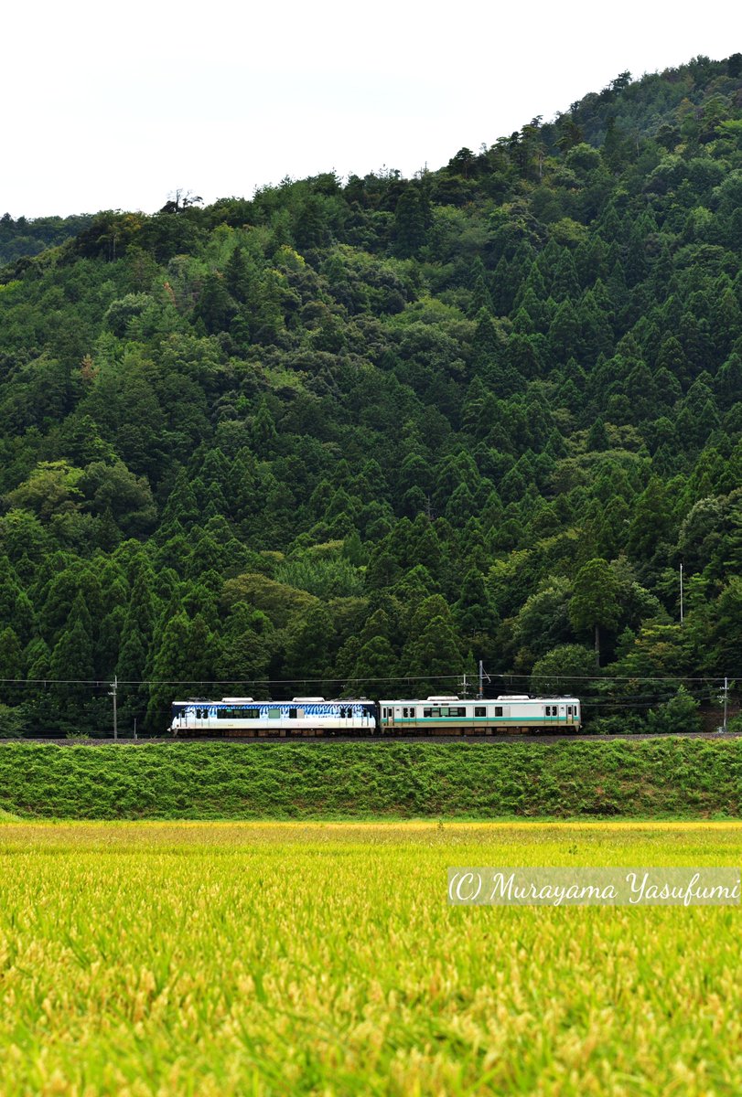 Murayama_Yasu's tweet photo. 田園を駆け抜けるJR小浜線十村駅付近
#小浜線 #福井県 https://t.co/E7SAN9simB