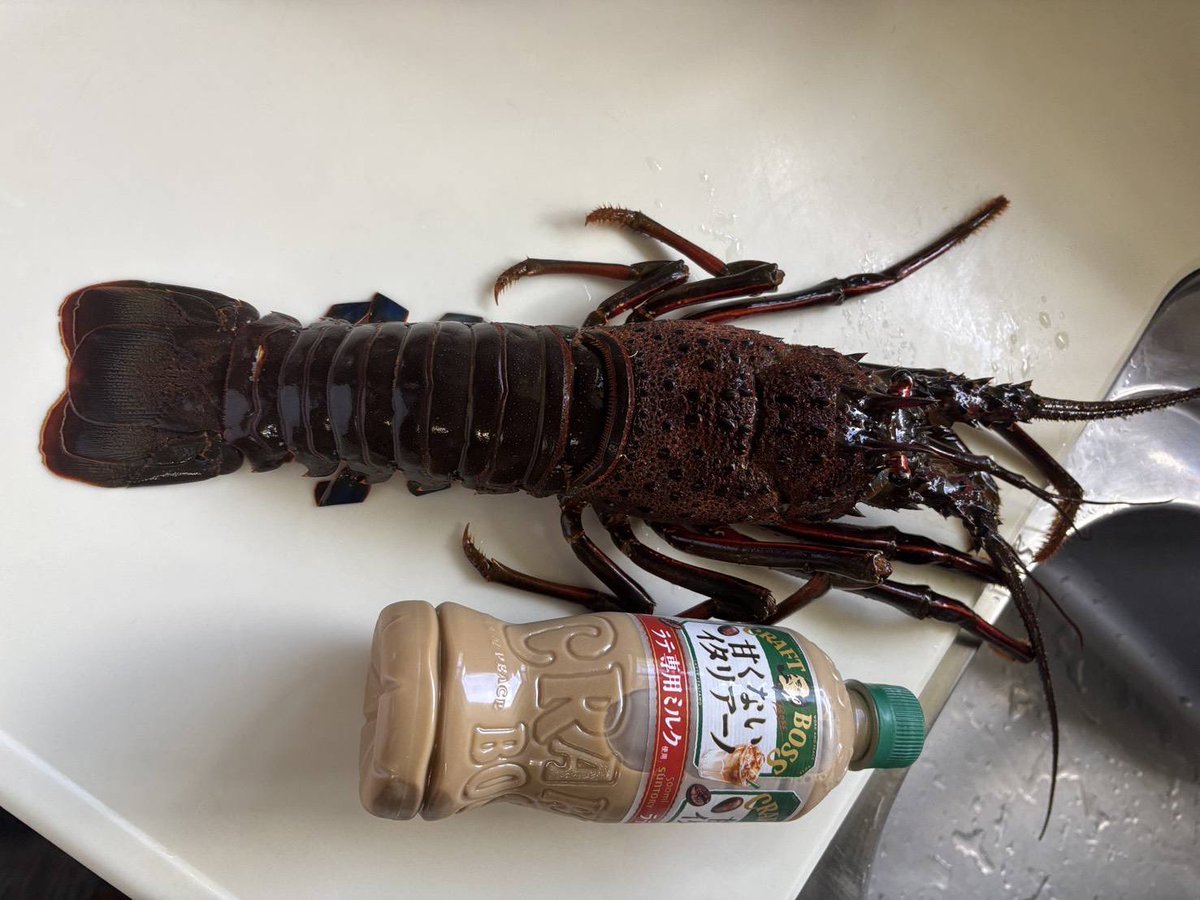 hatenan5's tweet photo. 普段は無糖のブラックを飲んでいるので、個人的には結構甘く感じました。ミルク感もしっかり口の中に残り、飲んだあと逆に喉が渇きました。 https://t.co/uhBkw5HY63