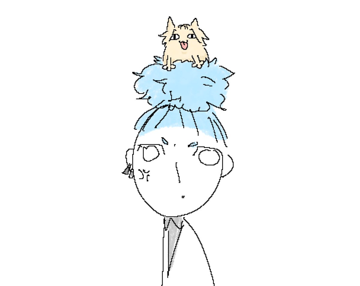 kurokawaDDONG's tweet photo. 복슬복슬 머리 https://t.co/Zx6QSAbFiK