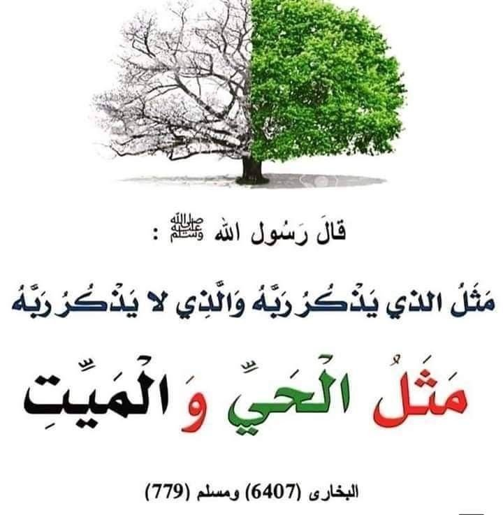 taim_qw's tweet photo. https://t.co/ihGS8aBkyk