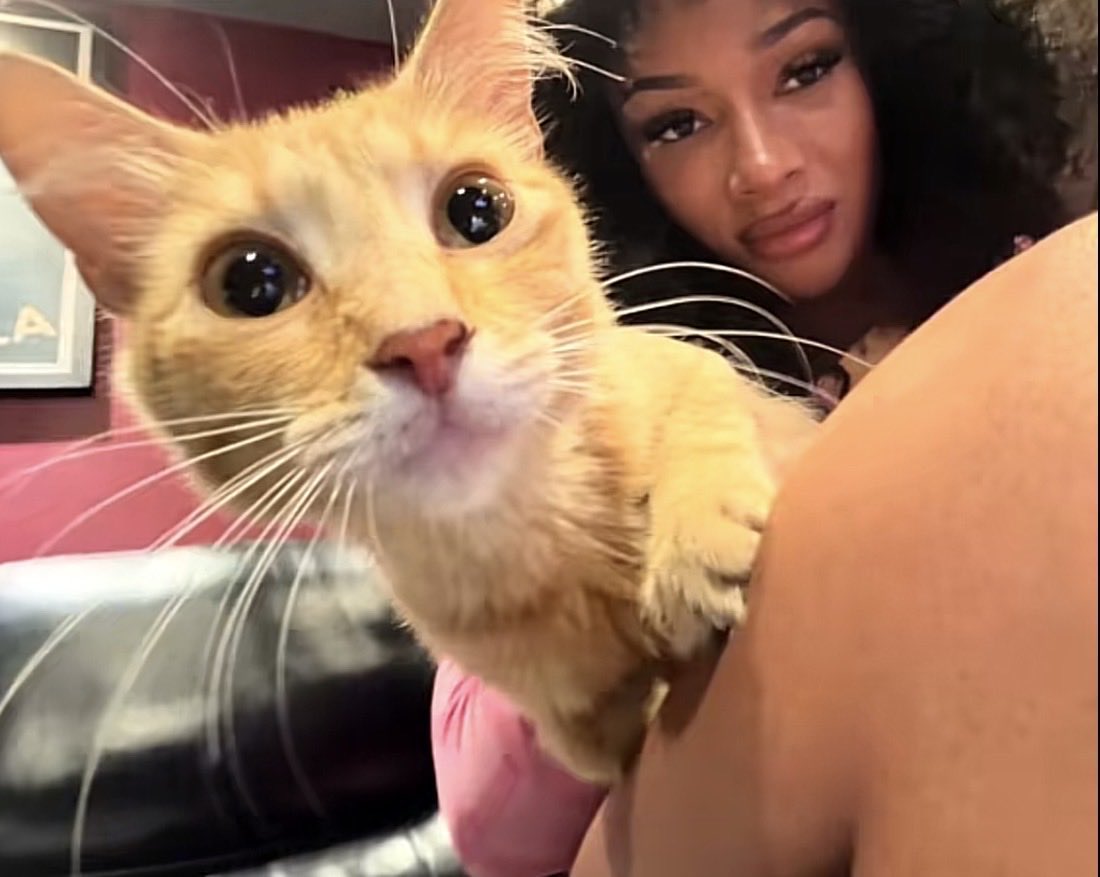 realhotgirlari's tweet photo. Meggy and Miso omfgggg🥹🥹🥹🥹🥹 https://t.co/baJcqUU5U8