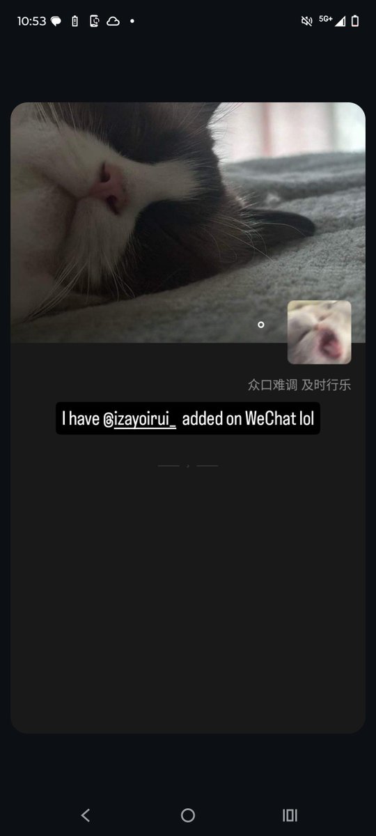 copykatbu's tweet photo. @izayoiRui My only friend https://t.co/ASCzPtLqXp