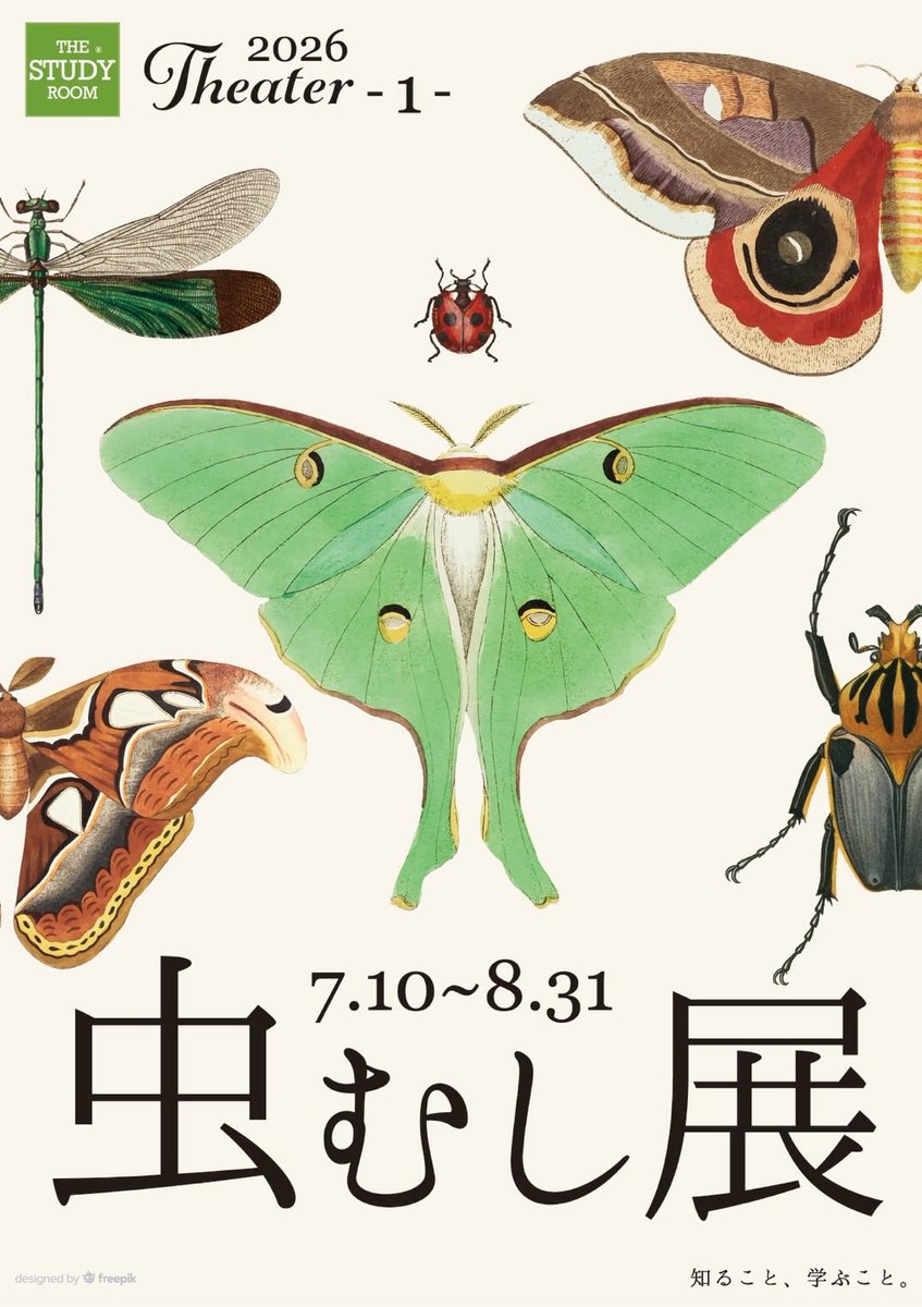 tukana_seisaku's tweet photo. 【出展情報】
7/10-8/31 虫むし展（スタディールーム上野店）
7/23 アクアリウムバス（東京都立産業貿易センター・台東館4F/5F/6F）

【卸・委託先】敬称略
THE STUDY ROOM仙台店&amp;上野店/アトリエキプリス/灯螂舎/&amp;tique/KPW/JAB/博物趣味ラボ

【通販】
https://t.co/l3eB6B5jGp https://t.co/VV2mWm2Fn1