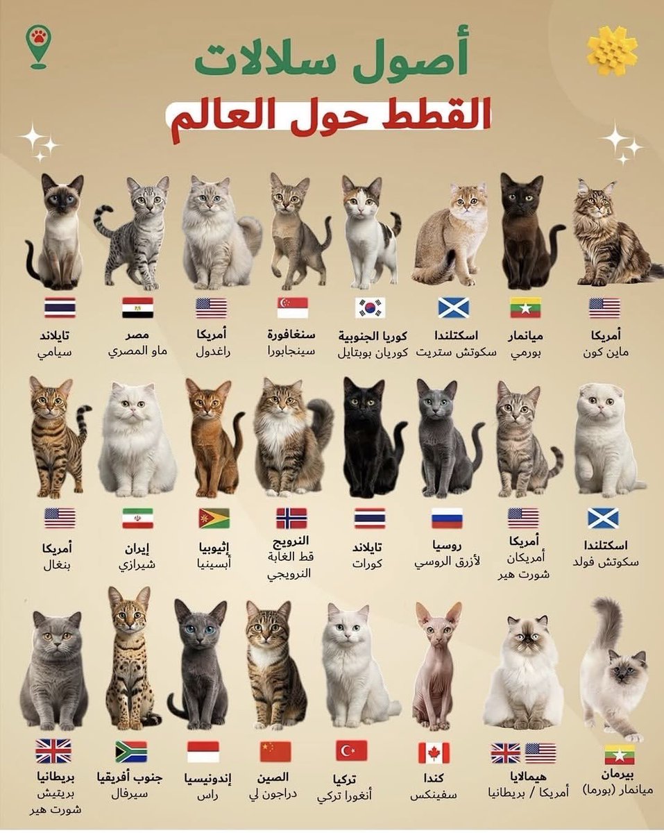 cn6c6's tweet photo. أصول سلالات القطط حول العالم https://t.co/AcmCugOn6m