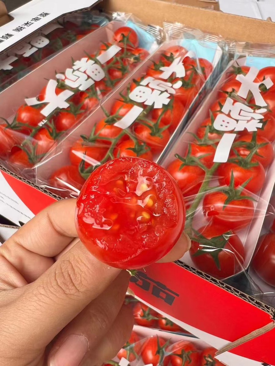 RaymondPie17870's tweet photo. Just tried the new organic cherry tomatoes from the local farm! Bursting with natural sweetness, super juicy, and no weird aftertaste—perfect for salads or snacking. Highly recommend! https://t.co/bw2NkHof2D