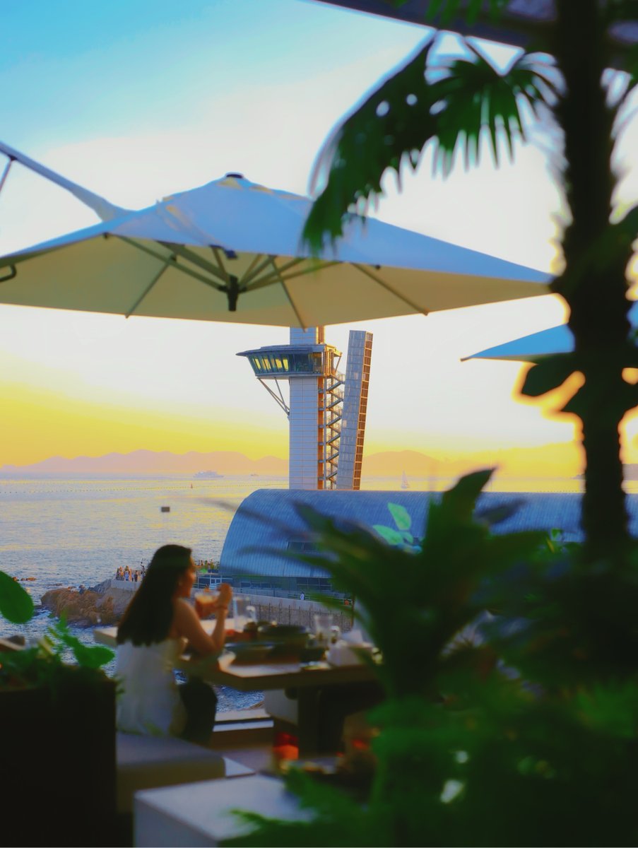 rappamanrap's tweet photo. Spent the morning wandering a tiny coastal village in Portugal—found a hidden bakery with warm pastries and a street musician playing old folk tunes. This is the slow travel vibe I needed lately! https://t.co/q8xUOEsvFp