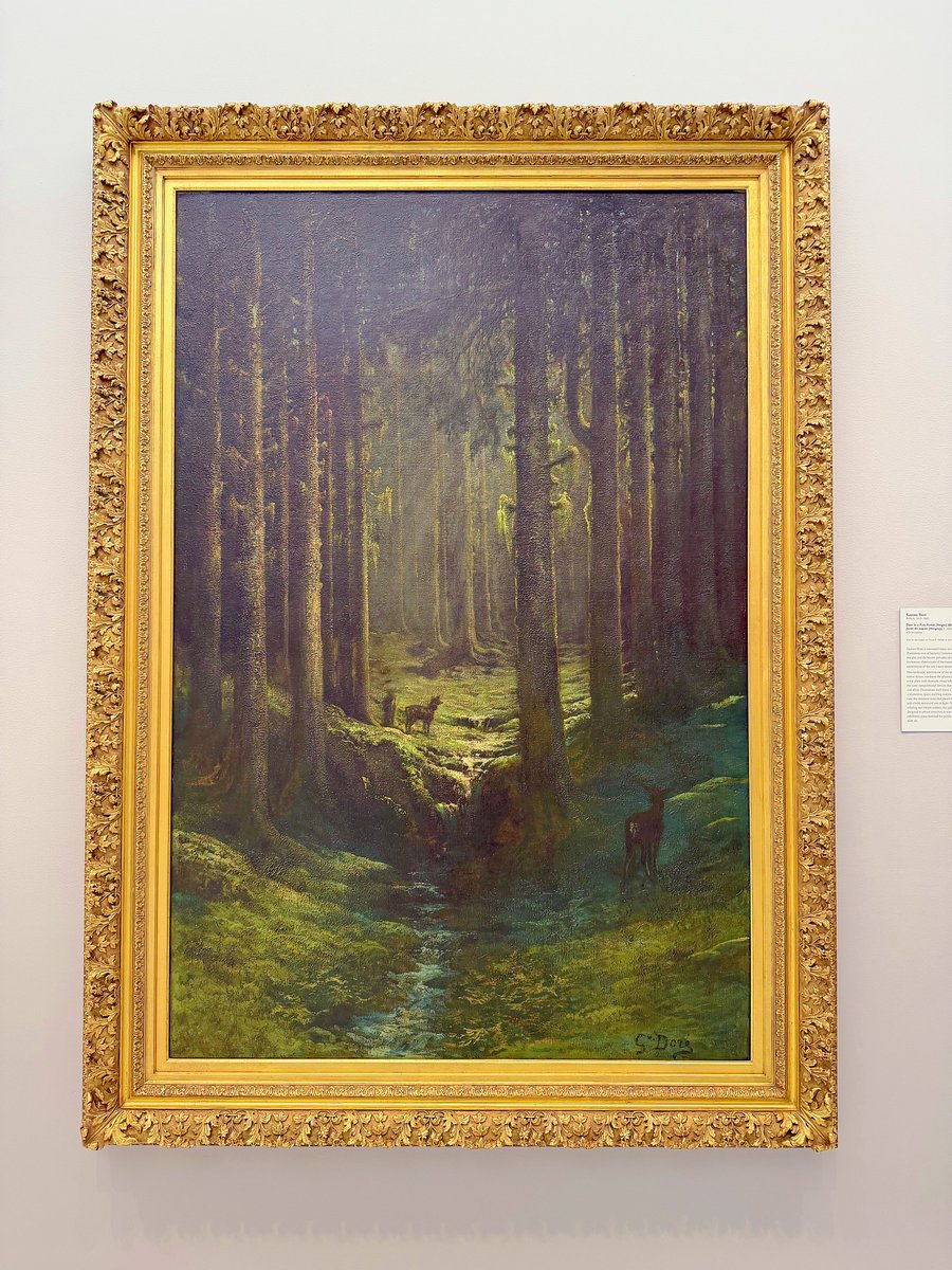 CrystalChen0622's tweet photo. 16. lotus tea in glass cup before bed
17. the oil painting Deer in a Pine Forest at Carnegie Mellon University’s art gallery
18. sunlight streaming through a window covered in ivy https://t.co/mjJZsmX1C4