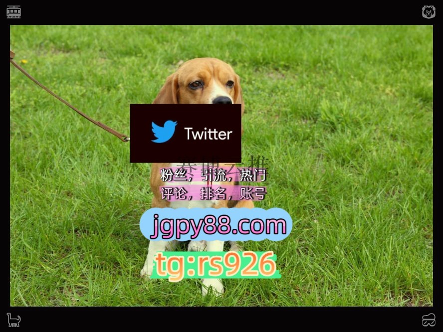 DDDD30678's tweet photo. Make the most of the time you have.
推特矩阵管理、营销自动化、内容运营热门号外🦖facebook自动脚本
海外流量、品牌推广、社媒营销推特账号上热门金华
矩阵互动🌞輔助工具🌂推特软件围436259海外获客🪐主人的任务🌱
排名号开门代发南京   💜客.服看→资.料
推特脚本instagram🏝 https://t.co/wA3Dd9hJRn