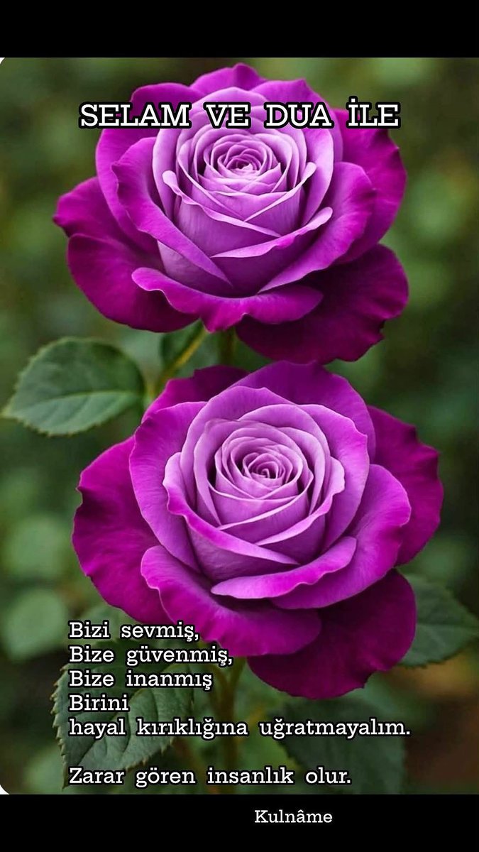 HakkNaz's tweet photo. https://t.co/TcETzqoVOJ