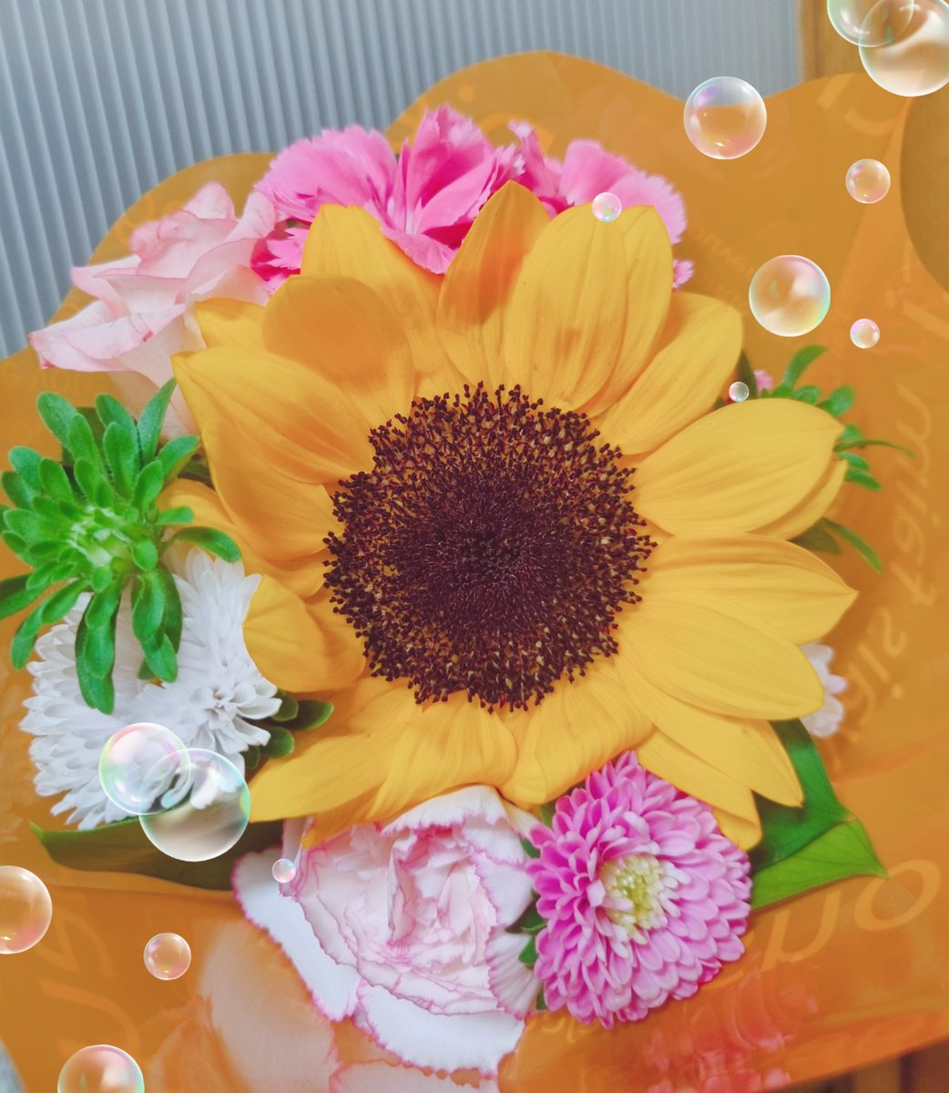 6ichiko9's tweet photo. 昨日はお盆最終日にイベントへ来てくれた皆様ありがとうございました😭
大成功に終わる事が出来て一安心
沢山ドリンクも頂けたり、まさかシャンパン全部あけていただけたり、お花いただけたり、感謝しかない🙏
何よりもご来店くださった皆のおかげで楽しい時間を過ごせたのが幸せ！
@kaji_7777 様感謝 https://t.co/AXv0WGw7PC