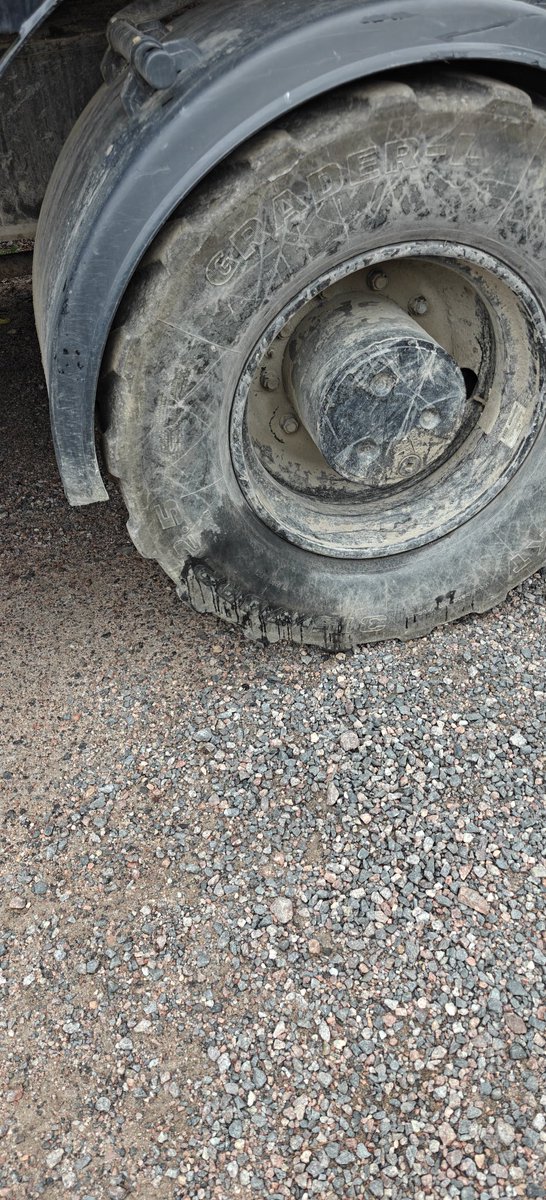 JanneSoini's tweet photo. Se on taas hurtat käyttäny pillaria kusitolppana viikonlopun! Ei mitään kunnioitusta! #ZeroFucksGiven #Koirulit https://t.co/GP3Lg9qcKI