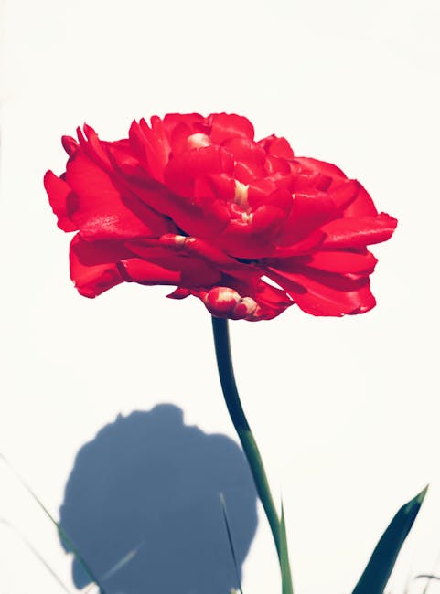 ShantiDains's tweet photo. جيد مع على تصميمك. النجاح قبضتك المعرفة عمق في هذه المقالة عميق حقًا. cyrus corredor🚒 https://t.co/MpaNOxe1sp
