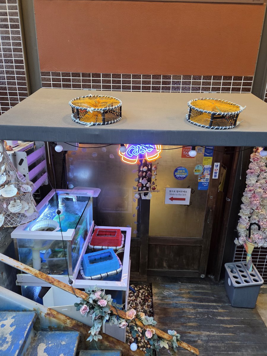 phoqueenv's tweet photo. I also visited Yongwang Pocha!! Their seafood was tasty and it's so cute that they give a free service to Wooyoung fans 😭 I'm happy that the family supported Wooyoung on his new channel 🥹 https://t.co/ziLZJ5eOzN