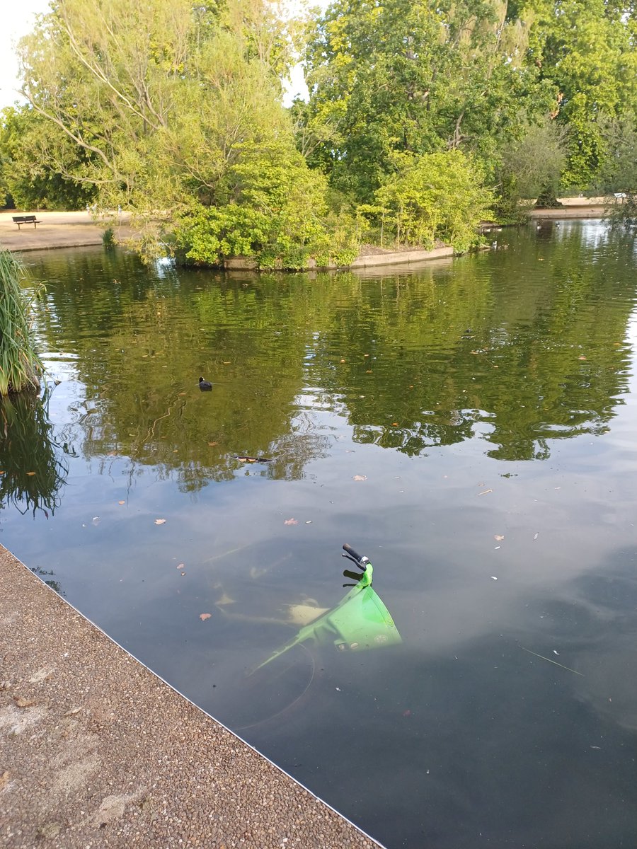 vickysmith's tweet photo. Hi @limebike, you've got a bike in a pond here on Wandsworth Common
https://t.co/HPgvGuvRhz https://t.co/iuerbqy4xK