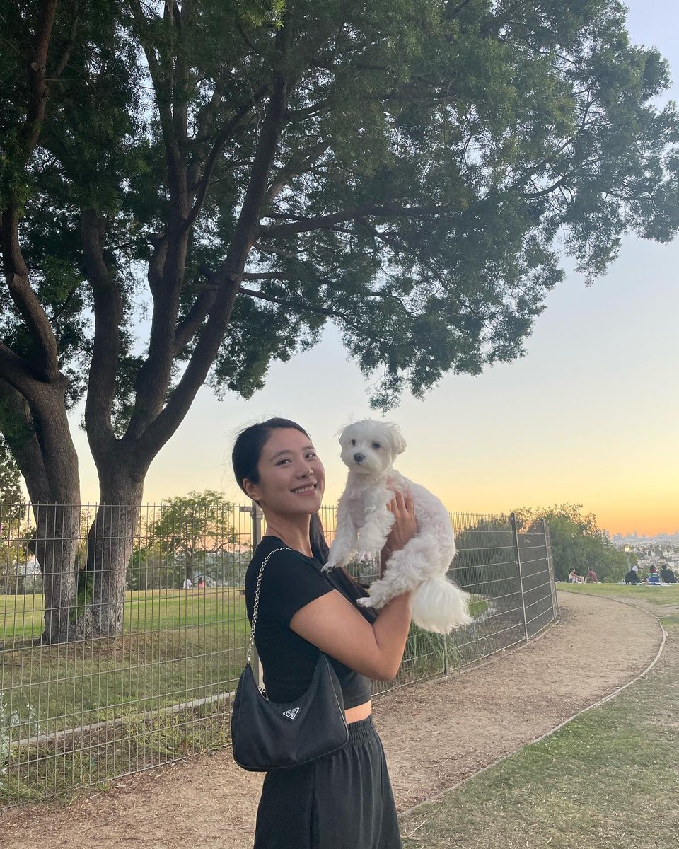 RealPSpaw's tweet photo. I took my little one out for a walk yesterday 🐶😊. We caught the sunset and the weather was lovely it was the perfect kind of evening for a stroll in the park https://t.co/h6RkphgmyP