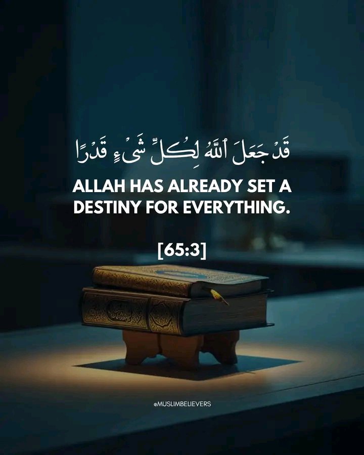 ___Saaleh's tweet photo. "Allah has already set a destiny for everything".

___ Qur'an [65:3]. https://t.co/k0Y8BCbhuS