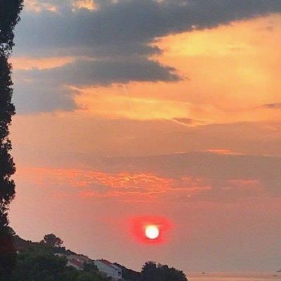 ModestyRal24166's tweet photo. 🌺 🍀 That rush of endorphins post-workout, sweat glistening like victory medals. https://t.co/DYxDqmELjJ