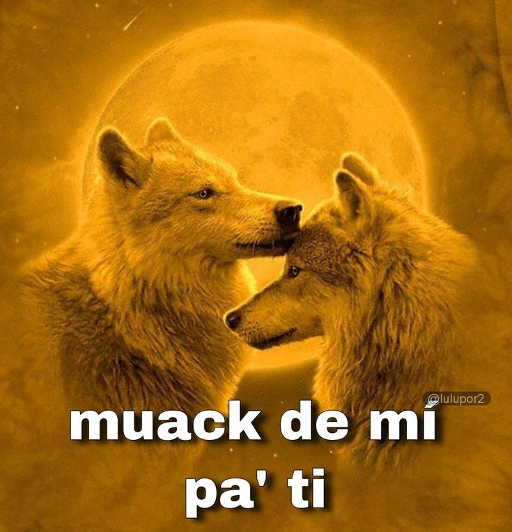 rynxpsy's tweet photo. @mellevolamarea amiga segurisimo eres guapisima, basura qn te trata mal https://t.co/HxhDDXCk88