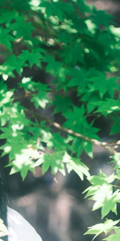 supino_deer's tweet photo. cosplay / ゴールデンカムイ

                                 アシリパ

📸 : おべべさん https://t.co/8urzVCMbUx