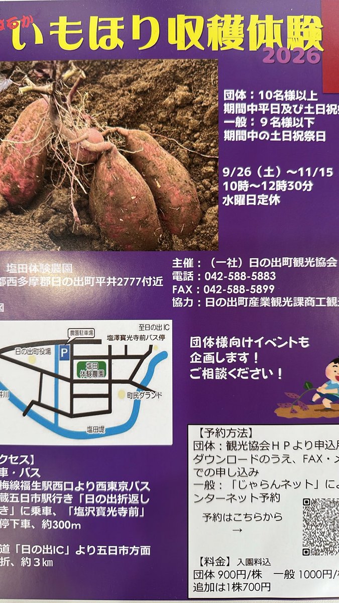 hinodekanko's tweet photo. 真夏の暑さが過ぎると実りの秋がやってきますね！
毎年恒例のいもほり収穫体験🍠
いよいよ予約開始です
#東京日の出町
#収穫体験
#さつまいも
#秋川流域 https://t.co/Cgvc1f1PNo