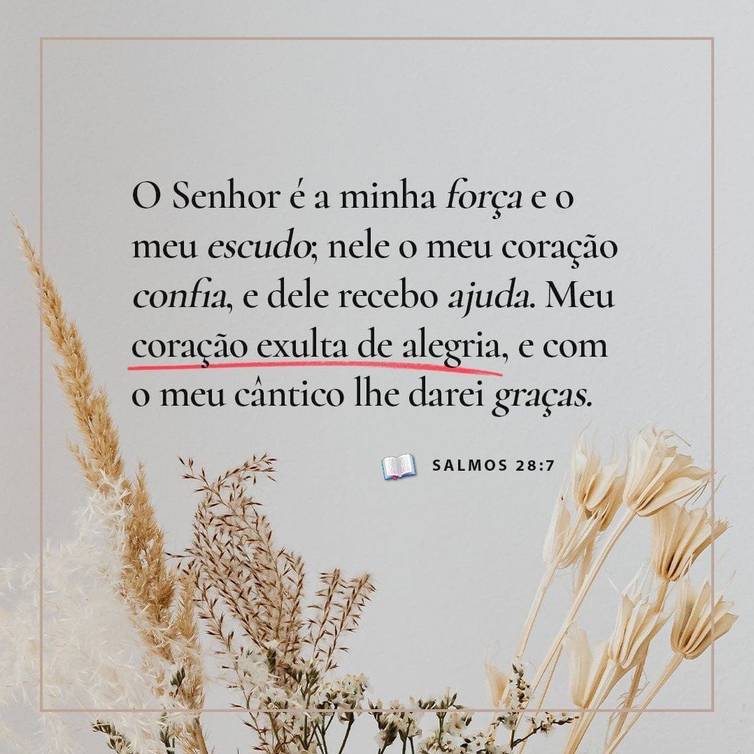 MensageirodaPa6's tweet photo. Davi nos ensina onde encontrar força: no Senhor. Ele reconhece que Deus é sua força e também seu escudo. Isso significa que não precisamos depender somente da nossa capacidade para enfrentar as batalhas. Podemos confiar naquele que nos sustenta e nos protege. https://t.co/0riSwsI0q2