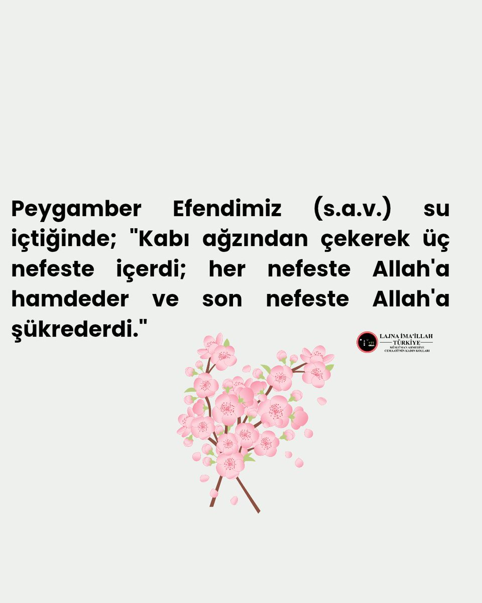 LajnaTR's tweet photo. Peygamber Efendimiz (s.a.v.) su içtiğinde; "Kabı ağzından çekerek üç nefeste içerdi; her nefeste Allah'a hamdeder ve son nefeste Allah'a şükrederdi." https://t.co/Ts1SKKpK9O