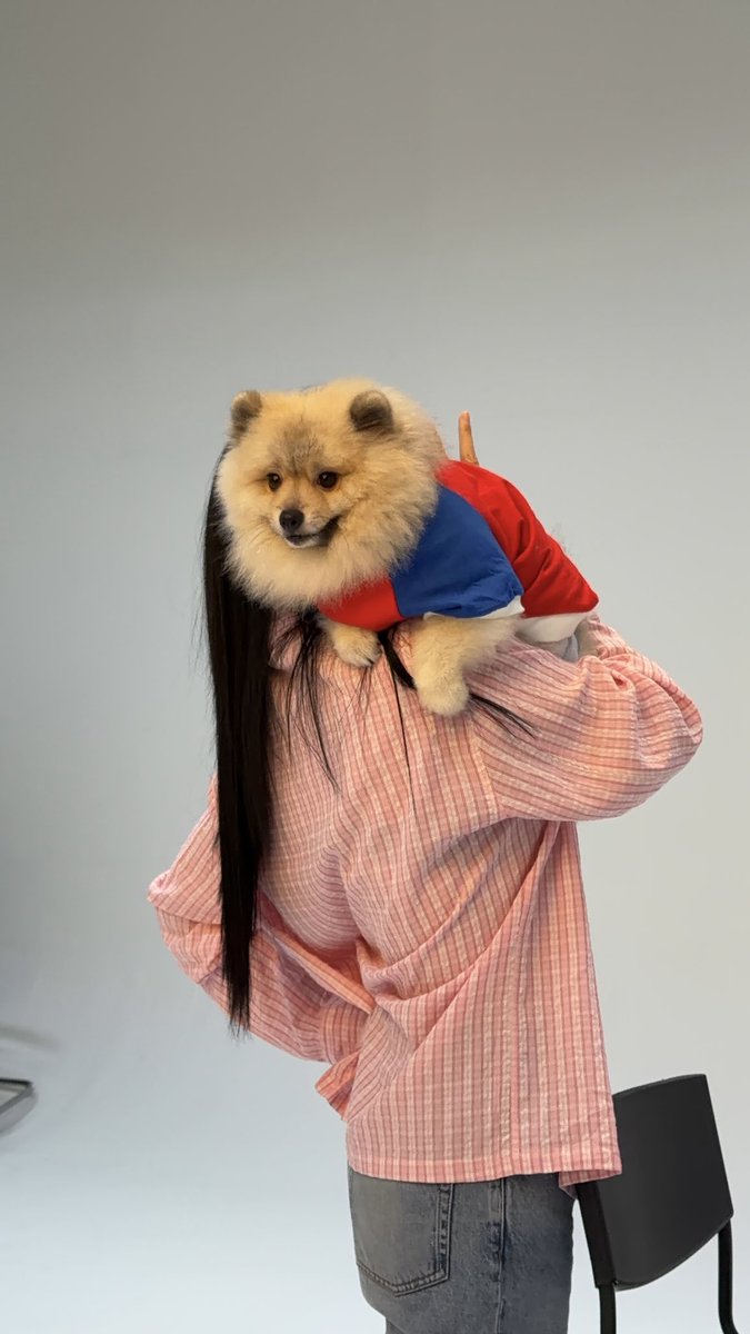 tjay0112's tweet photo. Judging from the photo… Sunny feels at home with Mama Atom 🙂‍↔️🍑🐶 https://t.co/glCWHkT1Oo