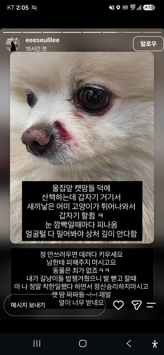 animalrtaccount's tweet photo. 캣맘들
안쓰러우면 데려다 키우세요
남에게 피해주지말구요
-광주 찍다 사진관 https://t.co/EnJrIr9B7c
