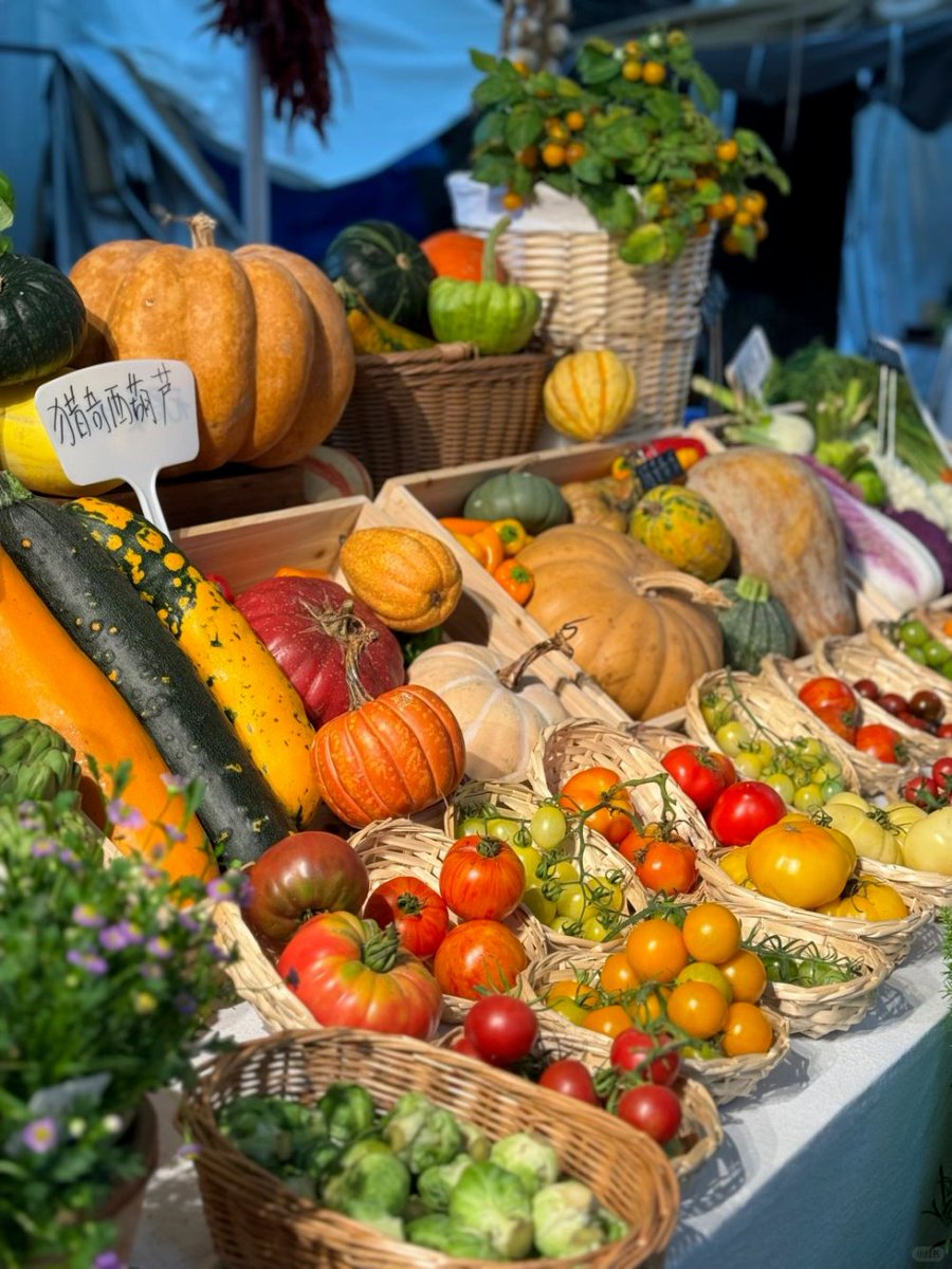 Nicha77799863's tweet photo. Stock up on fresh local veggies, free-range eggs, and whole-grain oats this weekend—farmers market runs make meal prep easy and delicious! https://t.co/GRz2l7oETV