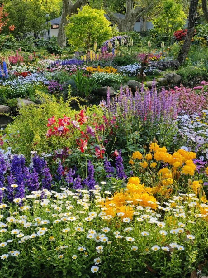_Naturaee's tweet photo. monet’s garden 🪴 https://t.co/jJtMCpfftY