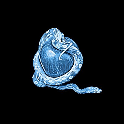 FrigidSeraphim's tweet photo. ⠀
⠀⠀⠀⠀⠀⠀⠀⠀*⠀𝐋𝐮𝐜𝐢𝐟𝐞𝐫⠀.
⠀ https://t.co/NMo7UBVDPu