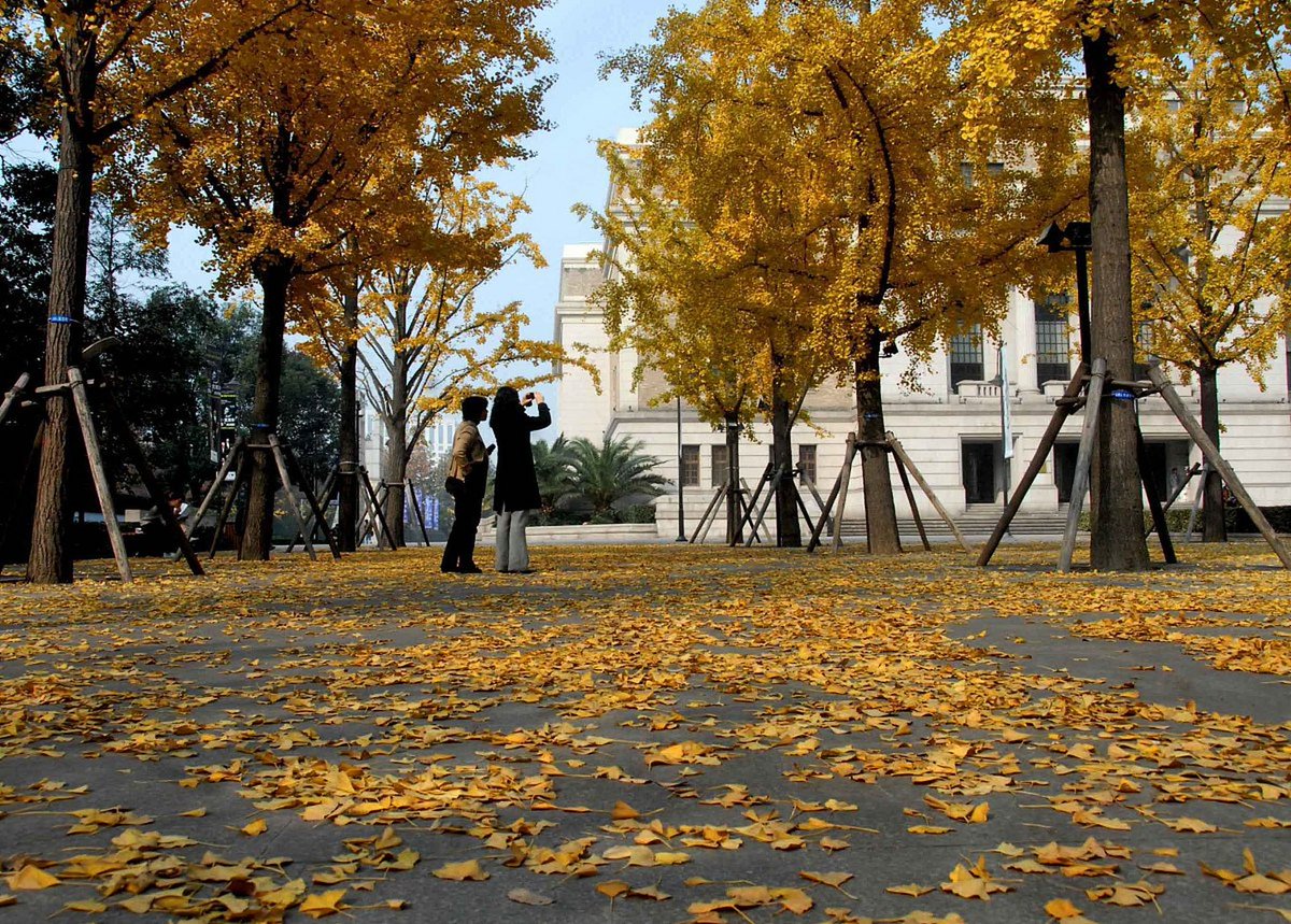 2545_faii's tweet photo. Warm sunlight + crisp autumn breeze = perfect weekend vibes! https://t.co/bnROt2iNLi