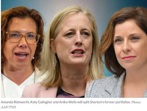 Ausbobsmit's tweet photo. Albanese has unleashed his female attack dogs. They're primary job is to spread lies about One Nation. Mind you, they're all set to lose their seat to one nation candidates. This is a protest election. Even those who don't support Pauline politically, they like her honesty and they know where they stand. 

Labor are rattled and rattled to the core.