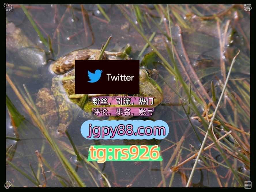 sakutoa3's tweet photo. Give freely in everything you do.
批量发帖、多账号管理、推广营销排名号外🧹facebook代发
关键词霸屏🧳熱門🌈权重号🌟推特老号🍄定時發推💐推特账号粉丝号太原
矩阵互动🌞輔助工具🌂海外获客🪐主人的任务🌱围800416软件获客、海外推广、流量增长
推特矩阵系统、Twitter矩阵系统、X矩阵系统临汾 https://t.co/tyBJNzCJp6