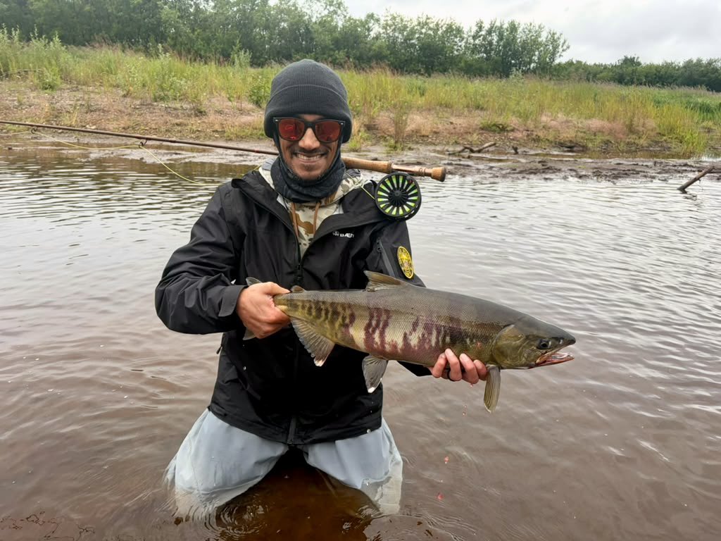 Shouldbgolfng's tweet photo. Few more highlights from this week #flyfishing #troutfishing #fish #fishing #trout #wildtrout #troutfly #nymph #coloradotrout #coloradoangler #catchandrelease #dryfly #dryflyfishing #nymphfishing #flytyingjunkie #flytyingphotography #flytyinglife https://t.co/GbZHNhO6Hv