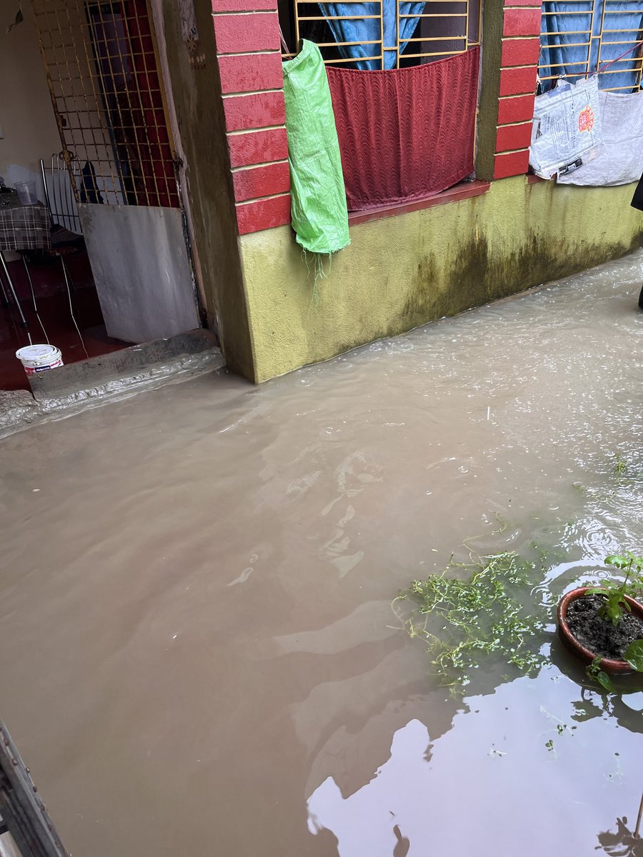 PurkaitShrinath's tweet photo. 🚨 URGENT – RESIDENTIAL FLOODING

Ward 9, Vidyasagarpally, Diamond Harbour (743331) is severely flooded after heavy rain. Water has entered our home. Immediate pumping/drainage intervention is urgently needed.
@CMOWestBengal @SdoDHarbour @DMS24Parganas @SuvenduWB 
#diamondharbour https://t.co/tVK5sHaLy5