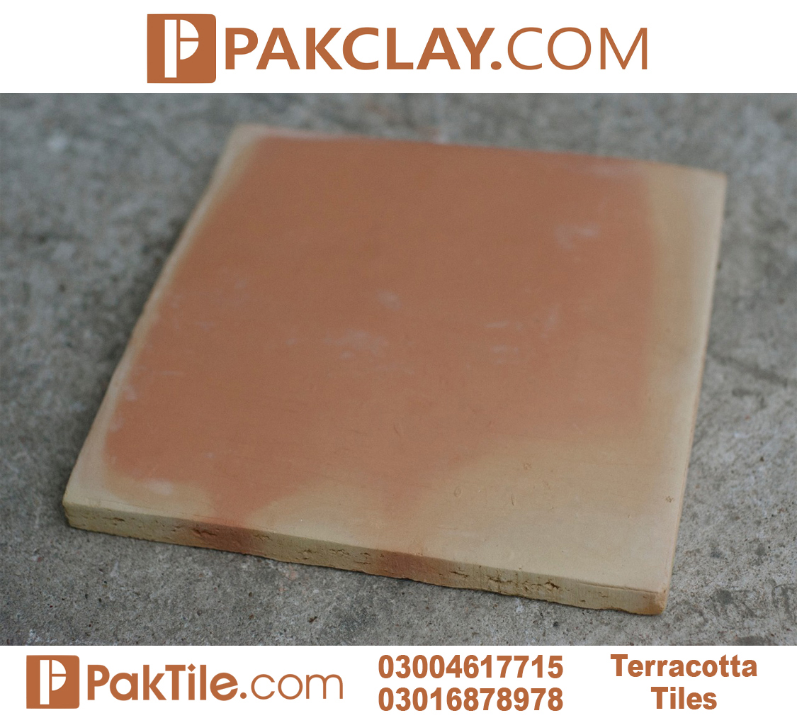 KhaprailTile's tweet photo. Cotto Terracotta Tiles
#Claytile #terracottatile #tileshop #tile #tiledesigns #tileprice #claytileprice #walltile #homedecor #architect #paktile #pakclaytile #floortile #paktileindustry #pakclayindustry #viral #trend #trending #Terracottatiles #tiledesigns #terracotta #Bricktile https://t.co/LL8QFNzDtm