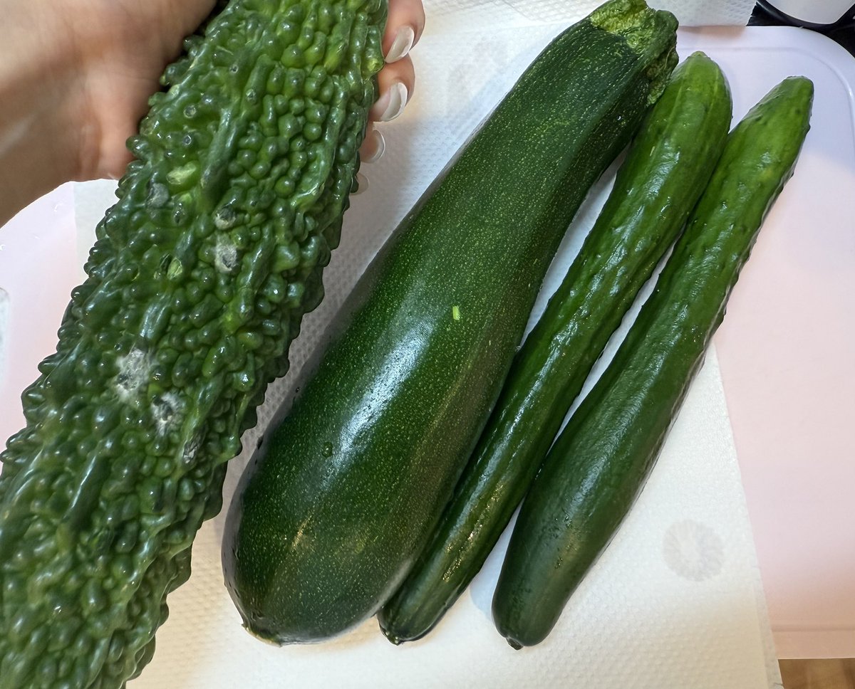 kaguramugi's tweet photo. 学校帰りにスーパー寄って、本日の浅漬け♪
の予定でしたが、ゴーヤにカビが生えてたので捨てる🥲 https://t.co/6GEhqIadcE
