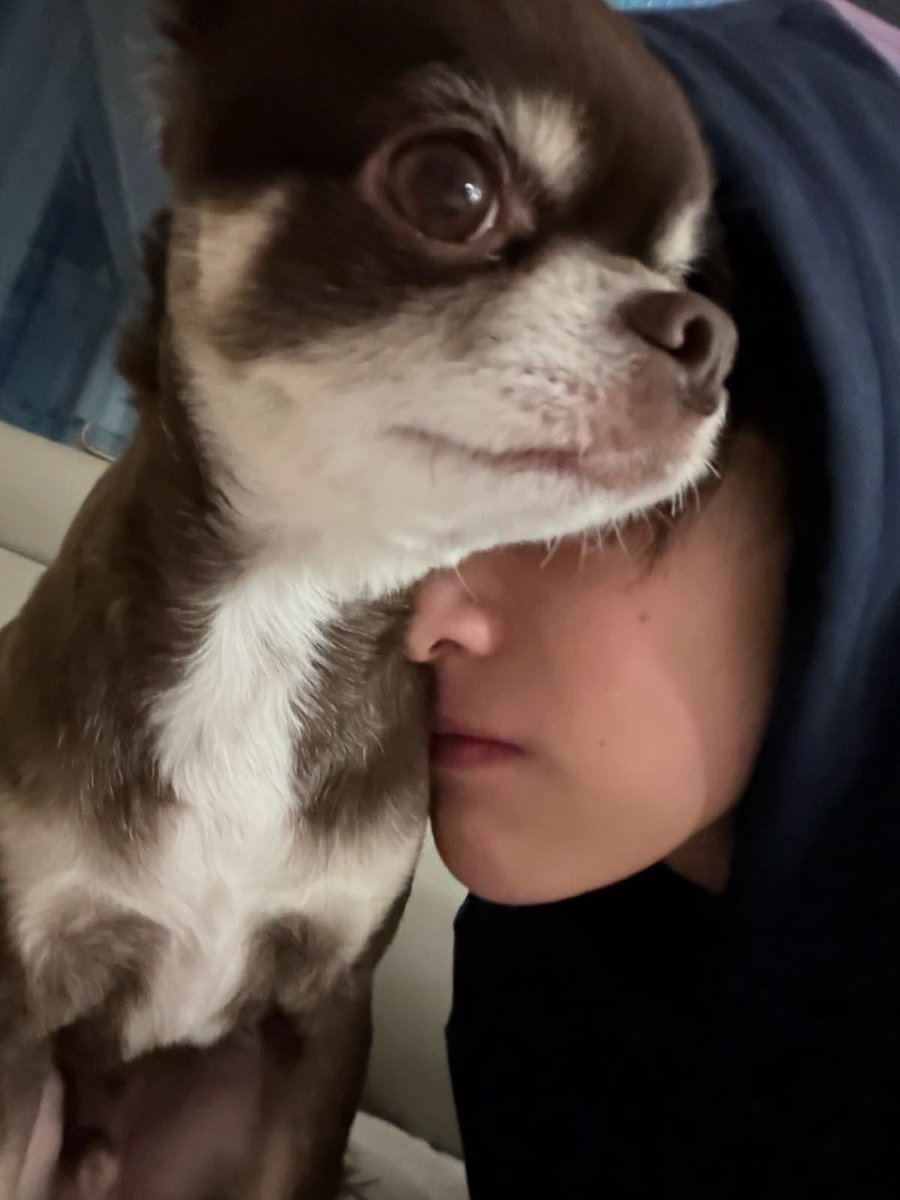 kianmdawn's tweet photo. spending my day with this lil cutie cookie ice cream of mine (definitely not skipping class today) and he’s demanding all my attention for a few more days, so you probably won’t be seeing me until he had enough of me. https://t.co/Ahy13jYmve