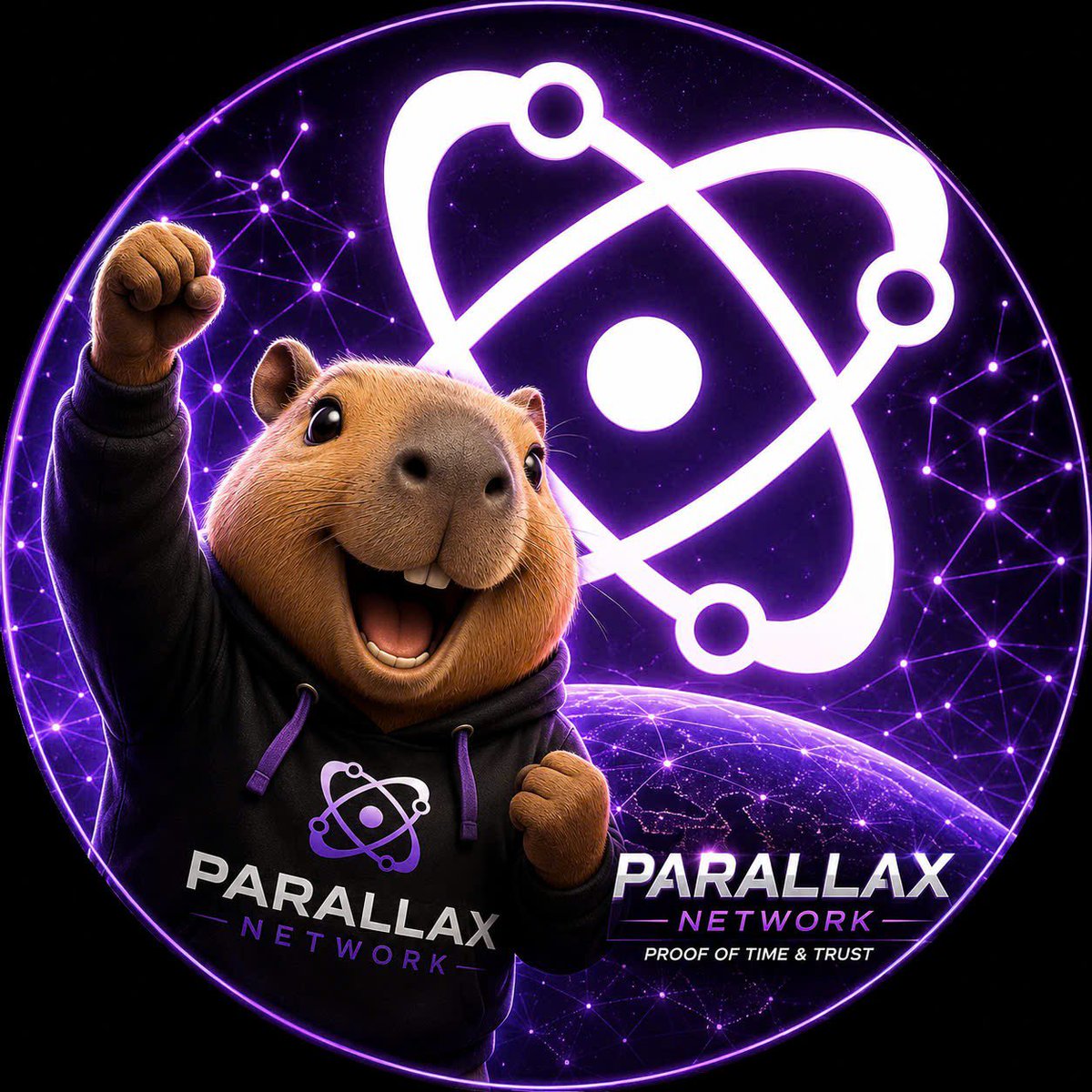 parallaxcapy's tweet photo. @Tokenized99 @inter_link @verylabs @networkparallax @ToriumNetwork https://t.co/hGkZiX9bUh