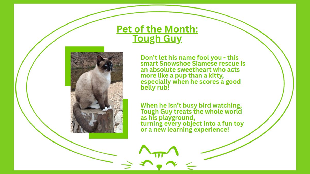 Turtleup's tweet photo. #TurtleCreekApartmentsPetOfTheMonth #Branson #TurtleCreekBranson #TurtleCreekApartments #HeartOfTheOzarks #TableRockLakeArea #Ozarks https://t.co/cGmTXznNX4