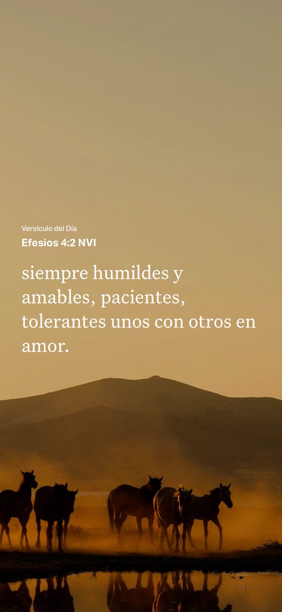 samramirez1's tweet photo. https://t.co/04Sy4yskbb