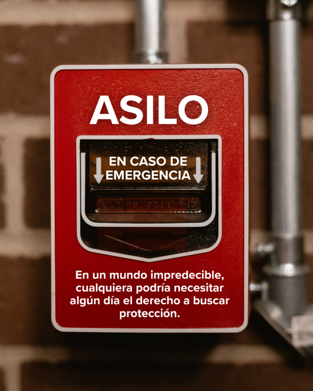 ACNURspain's tweet photo. El derecho a buscar seguridad existe para esos momentos en que la vida cambia de la noche a la mañana.
Es la salida de emergencia cuando nuestro hogar deja de ser seguro.
Y es un derecho que nos pertenece a todos.
#ConLosRefugiados #Asilo https://t.co/4cEMVrPELB