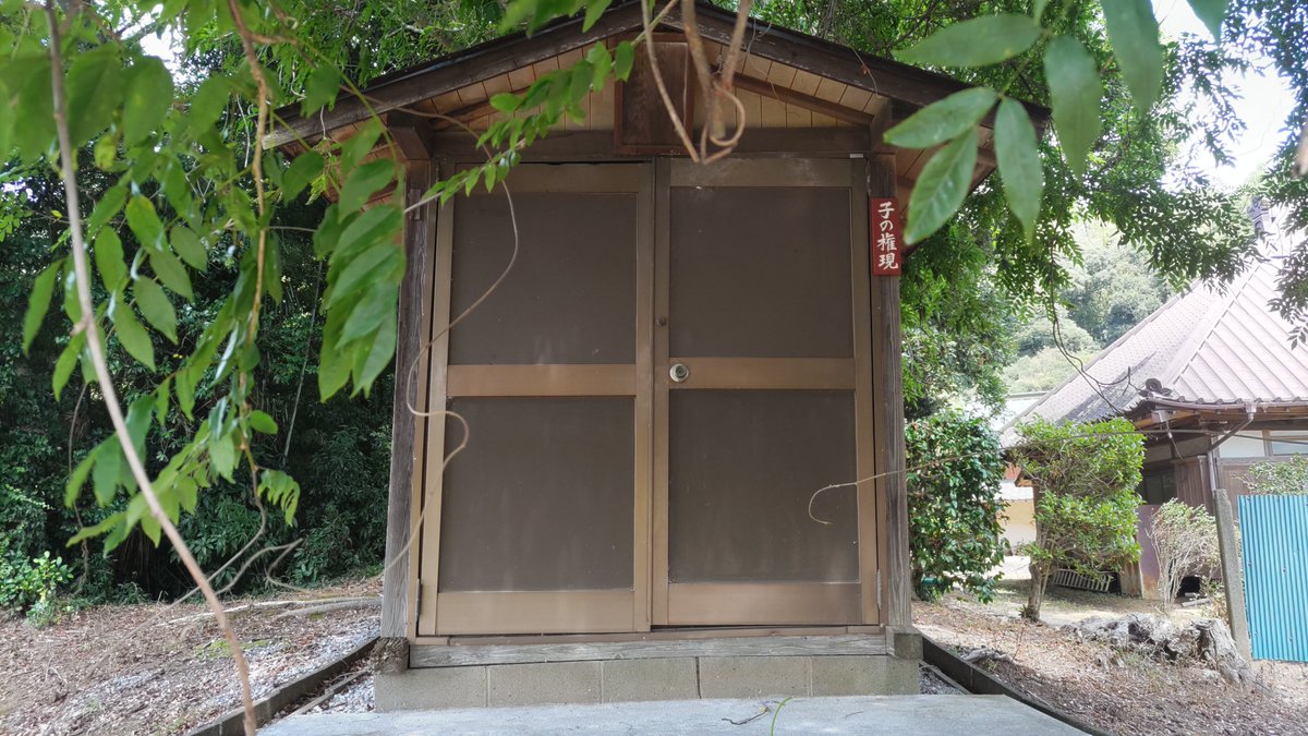 Colonel_yuduki's tweet photo. #結月大佐の御朱印さんぽ 
#子ノ神社

『寒風子ノ神社』 
鎮座地：〒285-0062 千葉県佐倉市寒風121

御祭神： 大國主命

御朱印：無
駐車場：無

参拝日：令和8年8月10日（月）午前11時20分頃

---

佐倉市寒風の農村地帯に鎮座する、寒風子ノ神社へ参拝して参りました。

田畑の広がる静かな地域にひっそりと鎮座する、小さな神社でございます。

明治維新後の社格制定に際しては「無格社」とされていた神社で、創建年代や詳しい由緒については現在も不詳。

『印旛郡誌』には、寒風村字邊田に鎮座し、大國主命を御祭神とする神社として記録されております。

当時の記録によれば、社殿は間口一間一尺、奥行一間。

境内は44坪で、氏子は14人とされておりました。

現在の社殿も非常に小規模で、周囲の木々に包まれるように建っております。

お社の前まで進んでみますと、戸は施錠されており、隙間から内部を拝見できる造りでもございません。

また、鈴緒や賽銭箱も見当たりませんでした。

そのため、今回も社殿の前からそのまま合掌し、静かに参拝。

無人の小さな神社ではございますが、こうして現在まで地域の鎮守として残されていることに、長い信仰の歴史を感じます。

そして、こちらの神社で特に目を引いたのが、境内に立つ大きな樹木でございます。

佐倉市による「保存樹」の案内板が設置されており、佐倉市選定第73号。

樹種は「フジ」とされ、指定時の推定樹齢は150年。

境内の大木に絡みつくように枝葉を伸ばしており、社殿を覆うような姿が非常に印象的でございました。

小さな社殿と、それを包み込むような古木。

大きな神社にはない、素朴ながらも趣のある景観でございます。

特に夏の緑が濃い時期ということもあり、境内はかなり木々に覆われておりました。

そのため、社殿を正面から撮影するにも少々苦労するほど。

しかし、それもまたこの神社らしい姿なのかもしれません。

華やかな社殿や立派な鳥居があるわけではなく、地域の自然と一体になったような鎮守様。

拙はこうした小さな神社を訪ねるのも好きでございます。

『印旛郡誌』に残る記録では、神官は田中長右衛門、氏子は14人。

当時から決して大規模な神社ではなかったことが分かります。

それでも、地域の人々によって祀られ、現在までその場所に残っている。

社格や規模だけでは測れない、地域の信仰の姿がここにはございます。

現在は無人で、御朱印の授与もございません。

専用駐車場もございませんので、参拝の際には周辺の交通や近隣住民への配慮が必要となります。

今回は静かな農村の中を進み、木々に囲まれた小さなお社の前で手を合わせて参拝いたしました。

御朱印を頂くことはできませんでしたが、こうした小さな鎮守を実際に訪ね、その姿を記録することも「御朱印さんぽ」の楽しみの一つ。

大國主命をお祀りする寒風子ノ神社。

大きな神社とはまた違う、ひっそりとした佇まいが印象に残る一社でございました。

【備考】 
・創建年代、詳しい由緒は不詳 
・明治期には無格社 
・御祭神は大國主命 
・現在は無人 
・御朱印なし 
・駐車場なし 
・鈴緒、賽銭箱なし 
・社殿は施錠されており内部は拝観できず 
・社殿前から合掌して参拝 
・周辺は農村、田畑が多い 
・境内に佐倉市選定「保存樹」第73号あり 
・保存樹はフジ
・指定時の推定樹齢150年 
・『印旛郡誌』では境内44坪 
・『印旛郡誌』では氏子14人 
・『印旛郡誌』では神官・田中長右衛門

大木に抱かれるように建つ、小さな鎮守様。

御朱印こそございませんが、長い年月この地で人々の信仰を受けてきたことを感じさせる、静かで味わい深い神社でございました。

特に境内の保存樹は見事で、木々に覆われた小さなお社との組み合わせが実に印象的。

こうした「地域に残る小さな神社」を訪ねるのも、拙にとっては楽しみの一つでございますな。

#結月大佐の御朱印さんぽ
#神社巡り
#千葉県の神社
#佐倉市の神社
#寒風子ノ神社
#大國主命
#佐倉市
#寒風
#無格社
#鎮守様
#保存樹
#フジ
#神社参拝
#神社巡り好きな人と繋がりたい
#御朱印
#御朱印巡り
#御朱印さんぽ