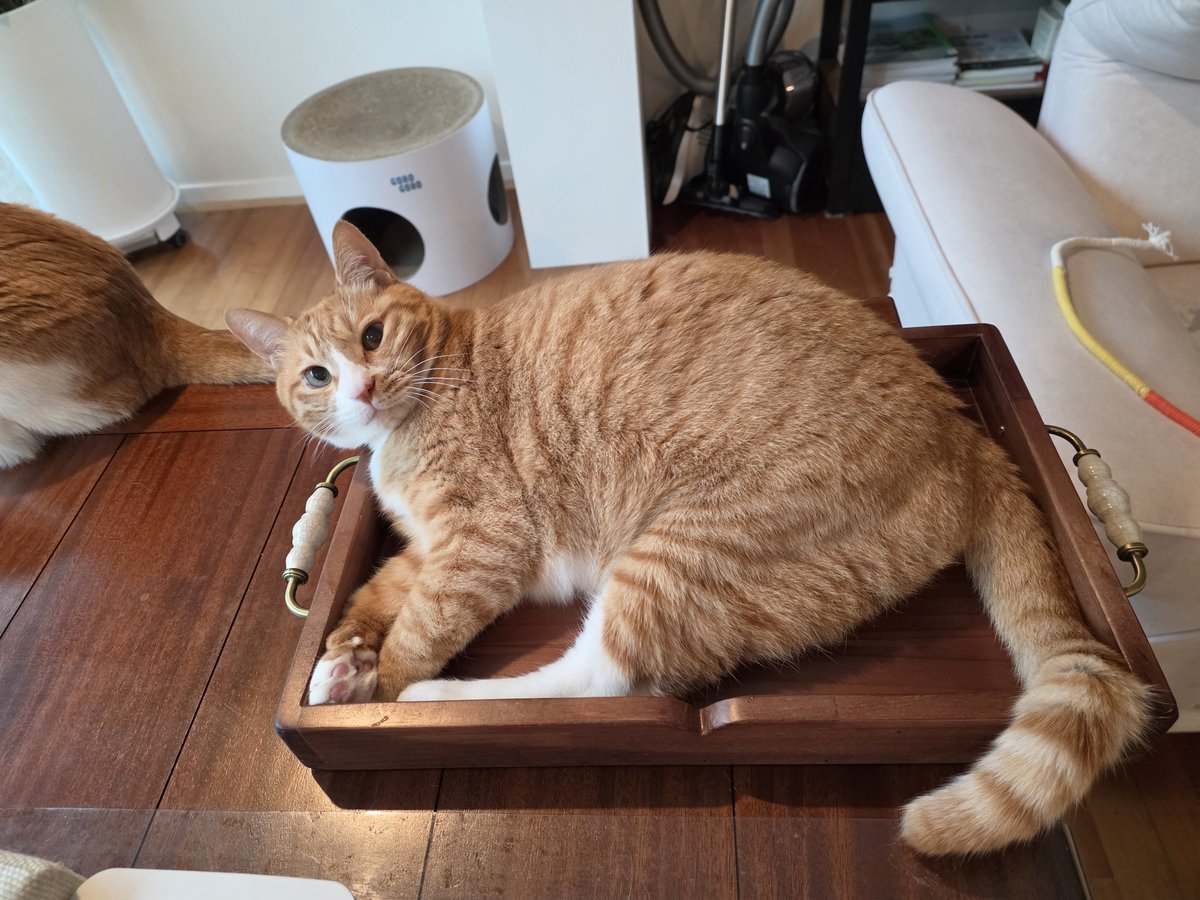 hanmingg's tweet photo. LEEKNOW SENT A PIC OF SOONIE (and bit of doongie)!!! https://t.co/vYXTJYA5jr