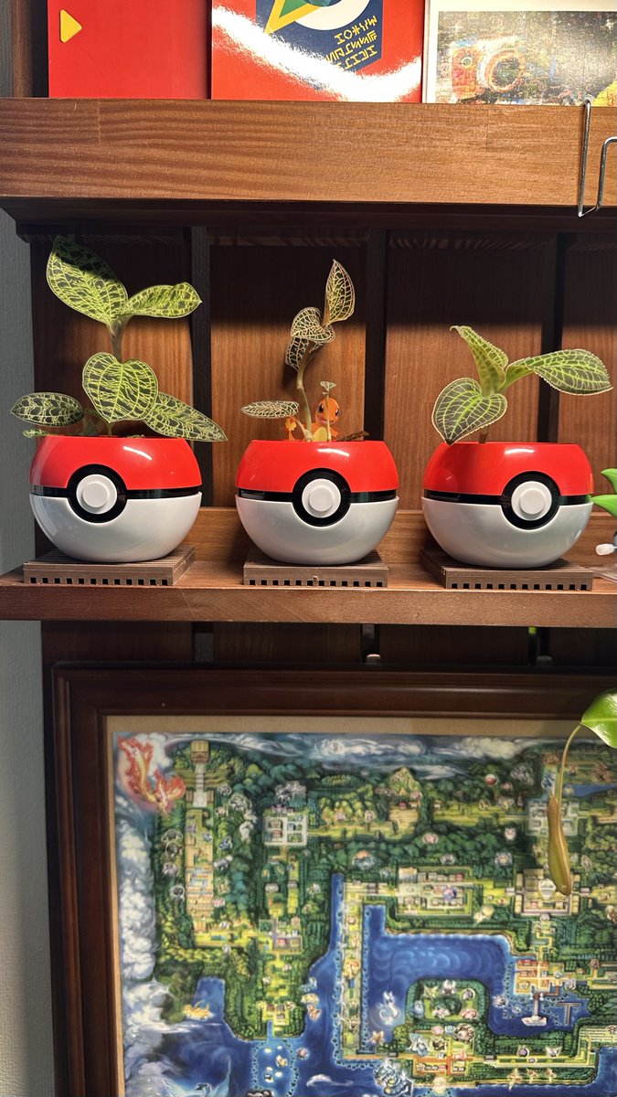 kenkenPokecame's tweet photo. みて！みて！👀
ポケモンのインテリアにハマってしまってます✨ https://t.co/q2s2LiKyOD